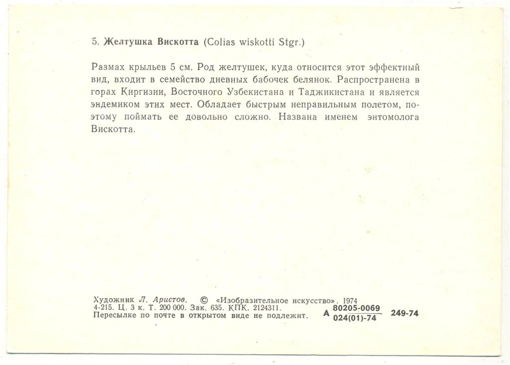 Открытка бабочки  Желтушка Вискотта