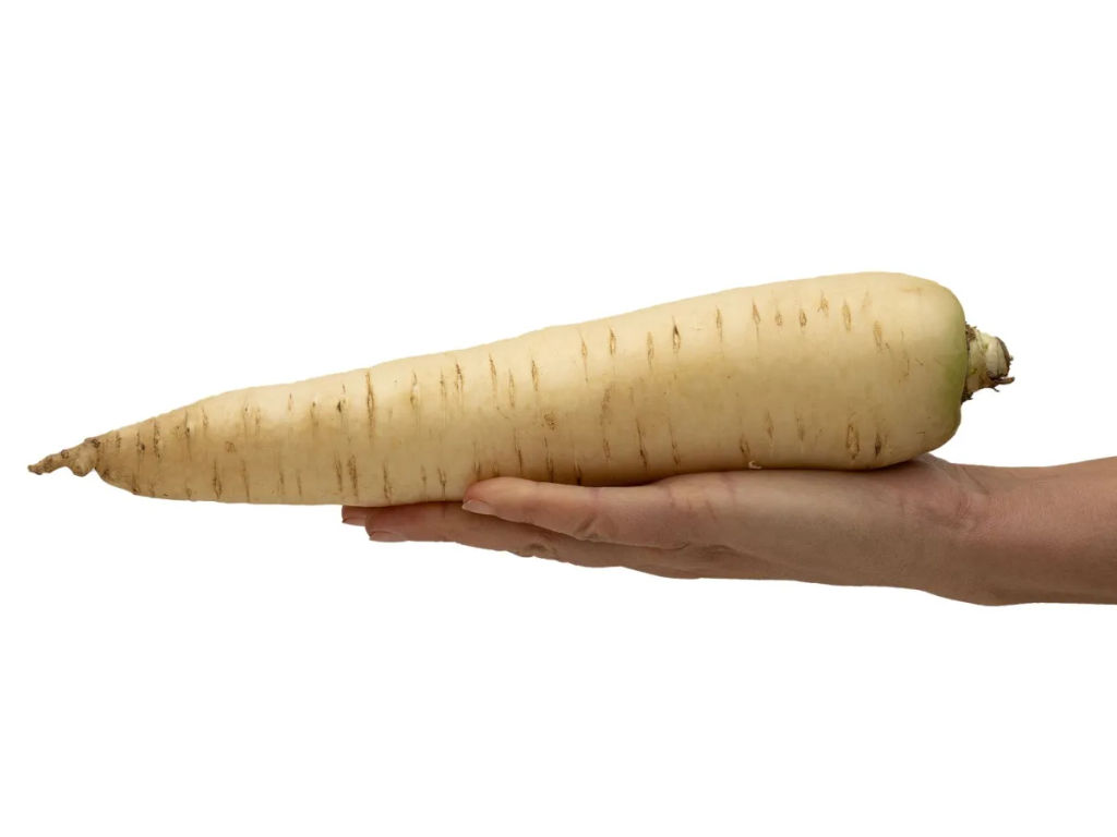 Морковь Вайт Сатин - Партнер фото 6