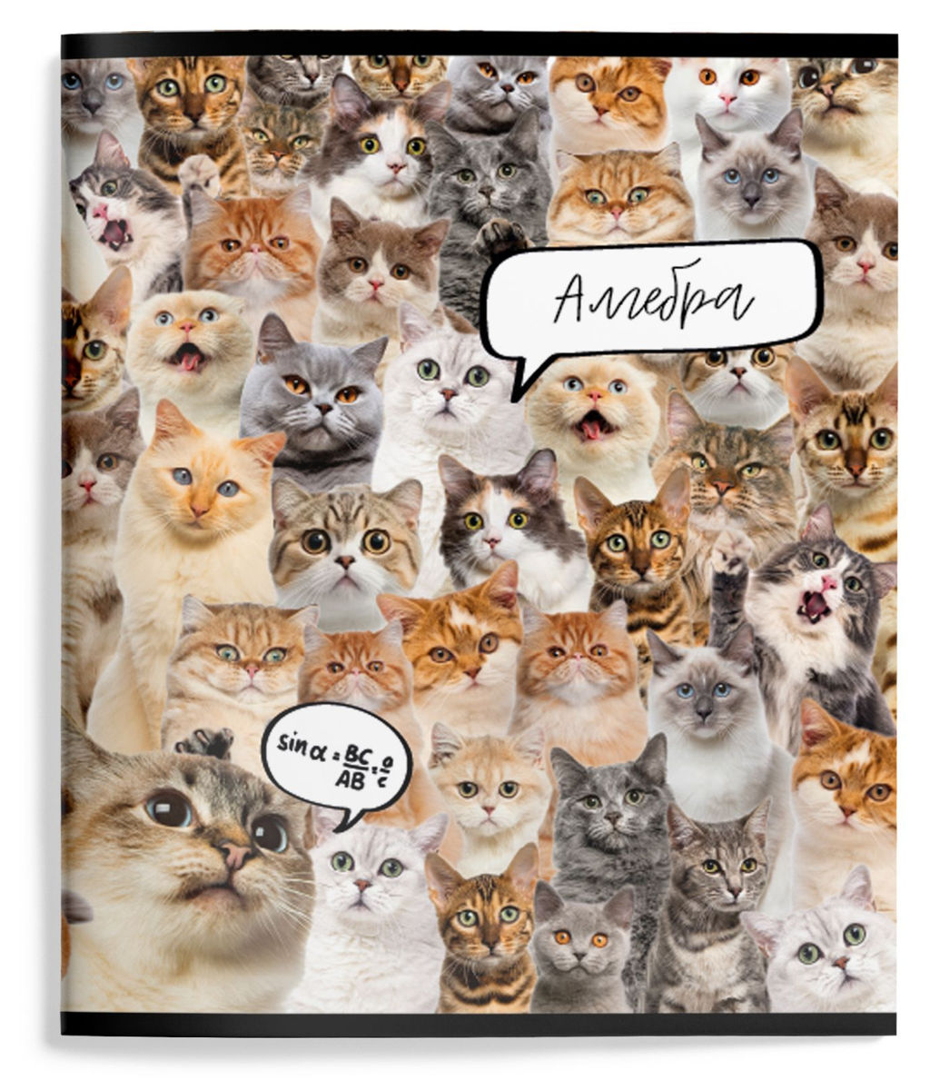 Цена за 5 шт. Тетрадь 48 л. А5 клетка, на скрепке, Schoolformat КОШАЧИЙ МИР Алгебра мелованный картон, з...