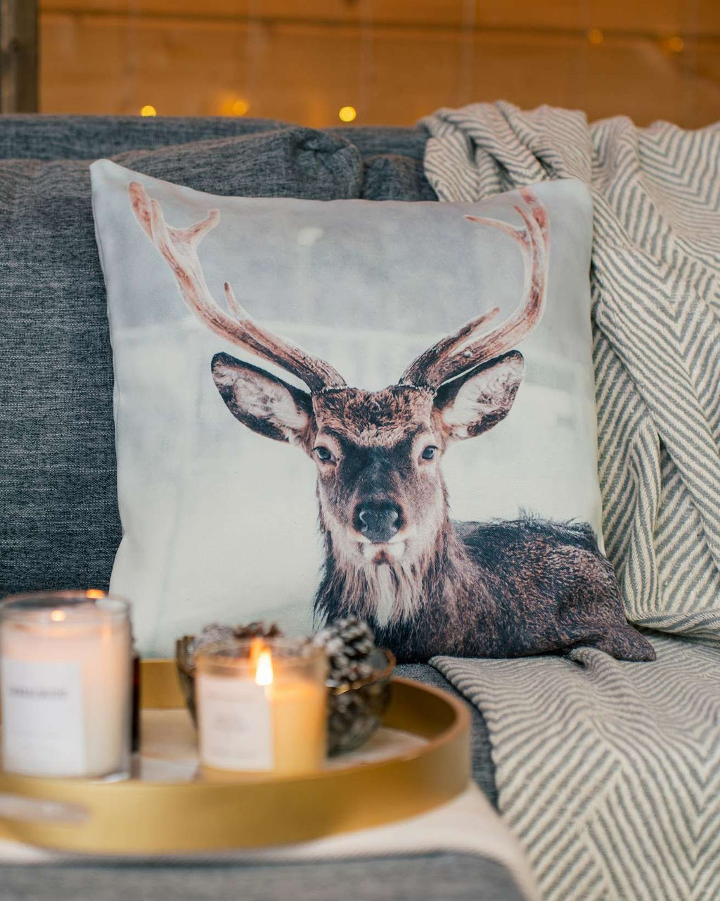 Декоративная наволочка ANG016