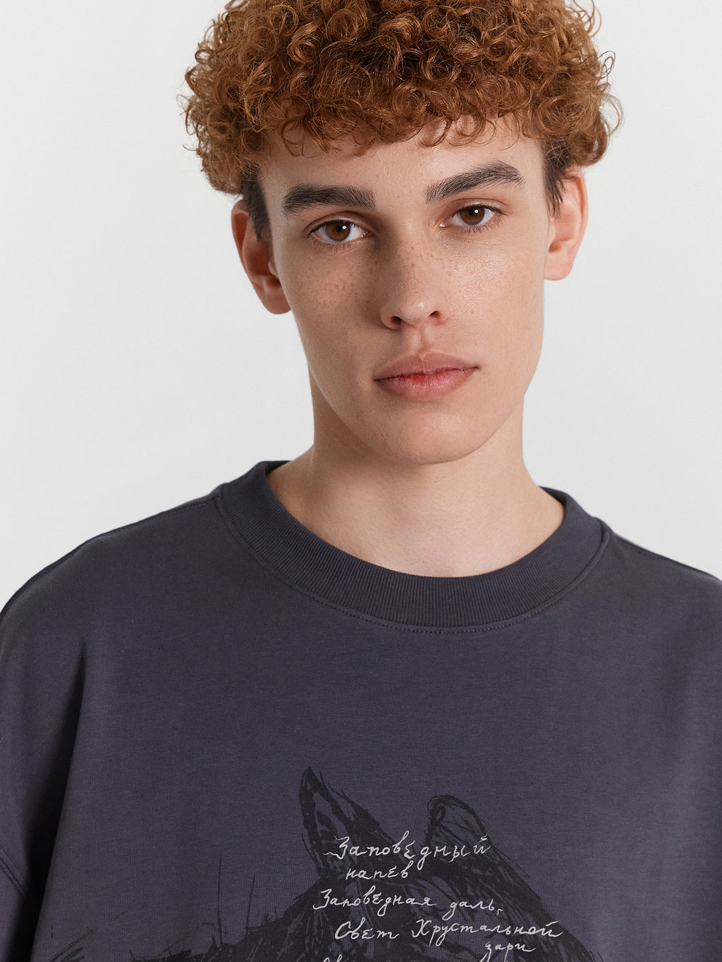 Футболка мужская серая с принтом "Беловежская пуща" сталь +печать 111892