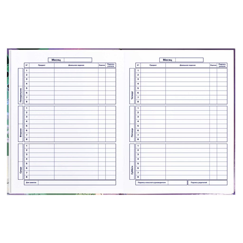 Дневник школьный 5-11 класс арт. 60135 КЕДЫ - Феникс+ фото 9