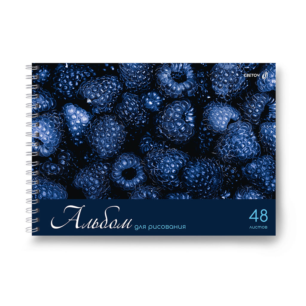 Светоч А234 Альбом для рисования, 100 г/м2 A4 29.5 х 21 см 5 шт. на гребне 48 л. 01622 Ярко - синий мир