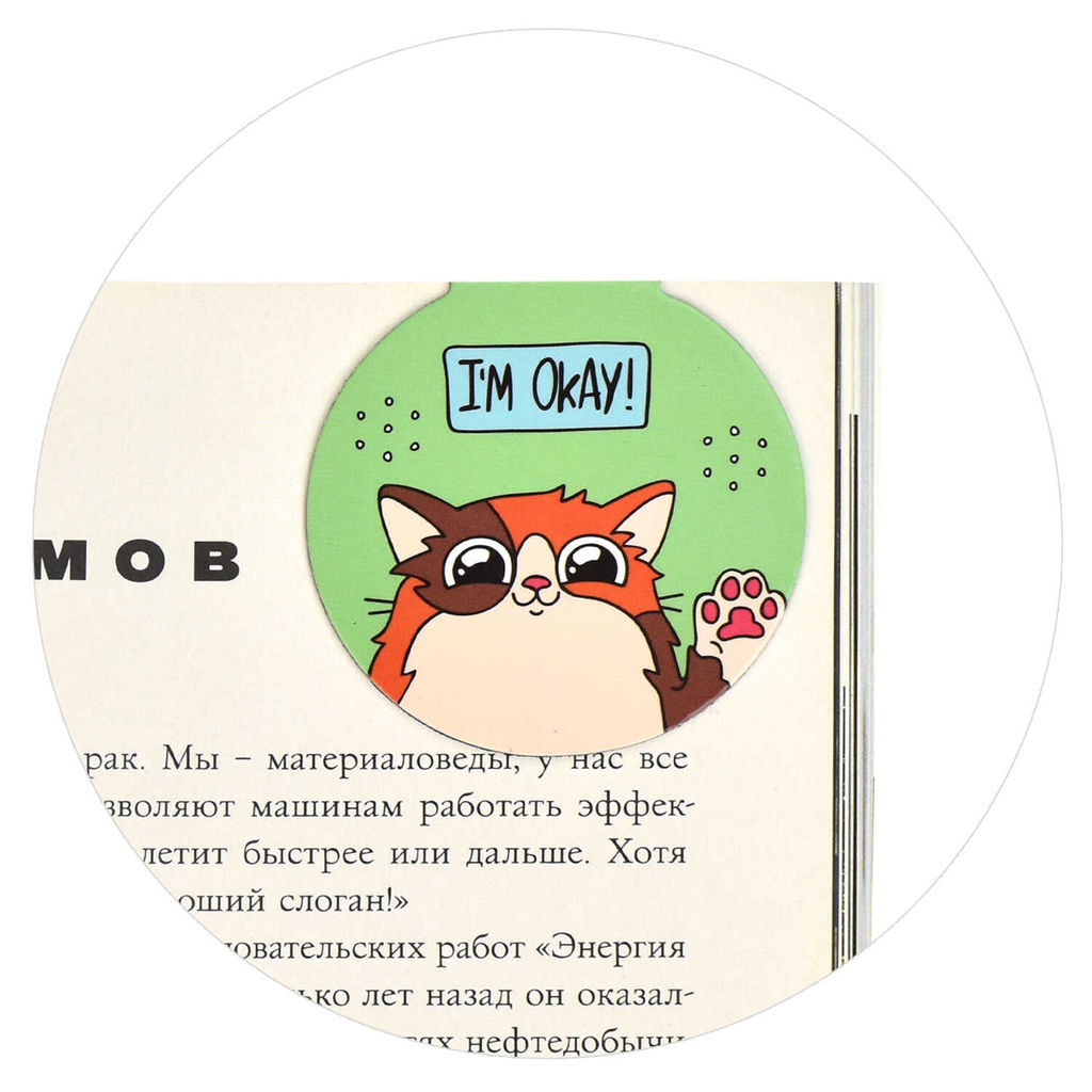 Набор закладок магнитных для книг арт. 65060/К / 100 ДВА КОТА - Феникс+ фото 5