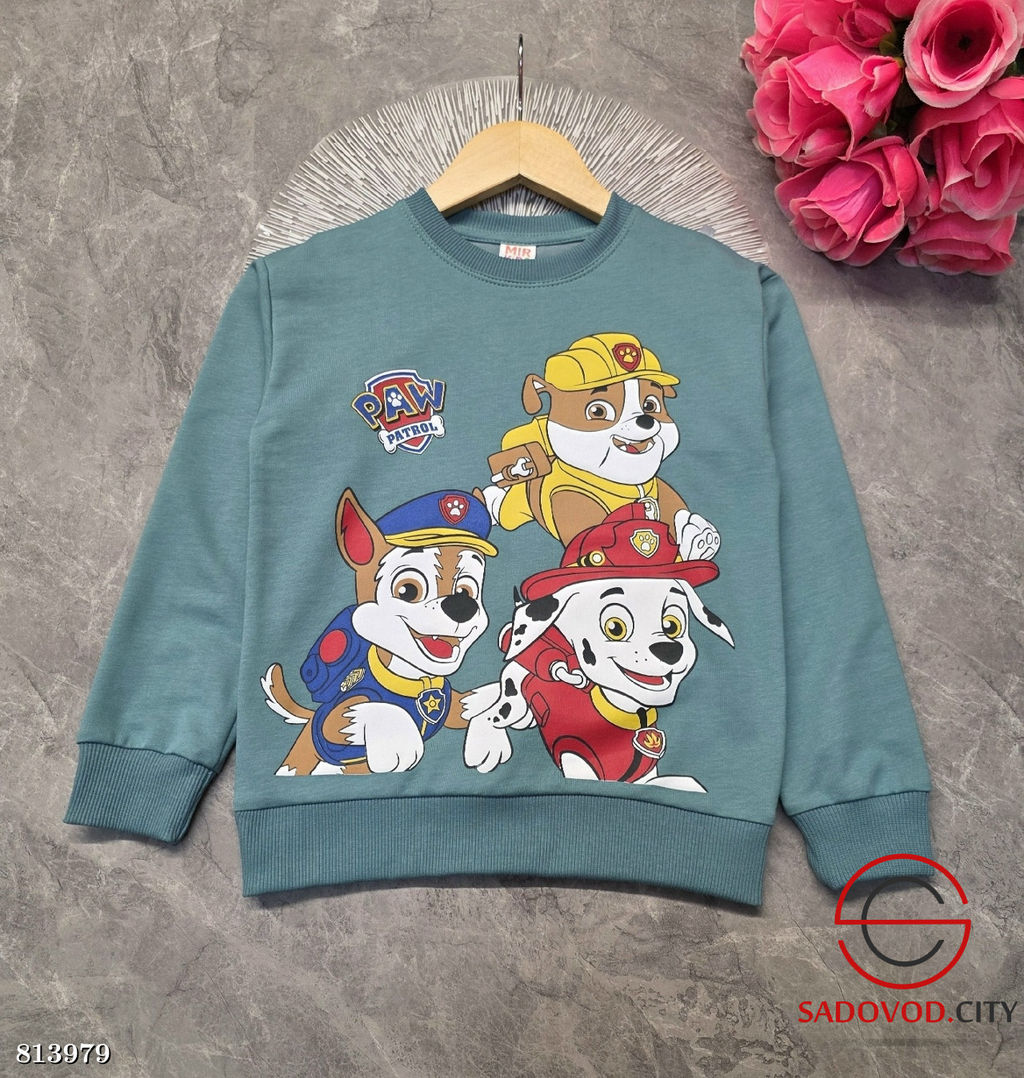 Кофта для мальчика с рисунком