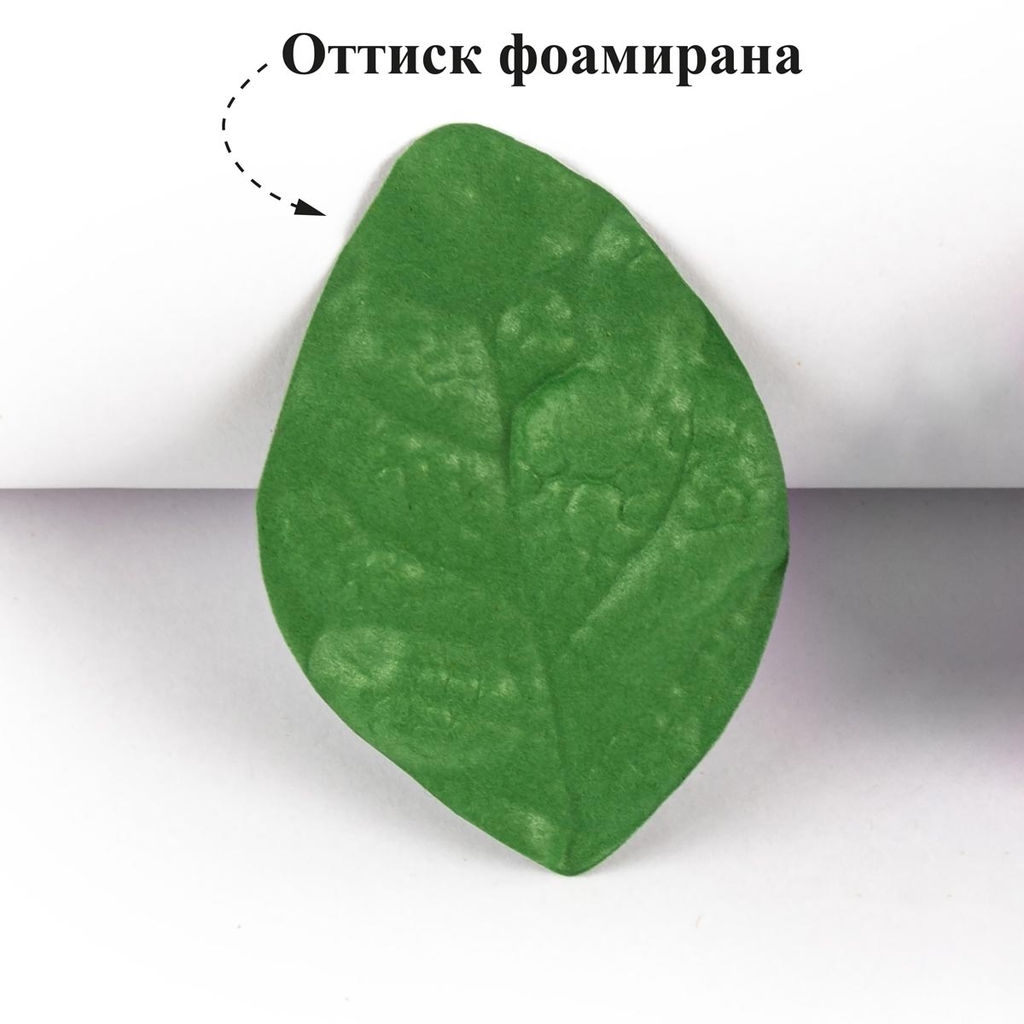 Blumentag Молд пластиковый FIOM-06 1 шт 01 Лист жасмина  фото 8