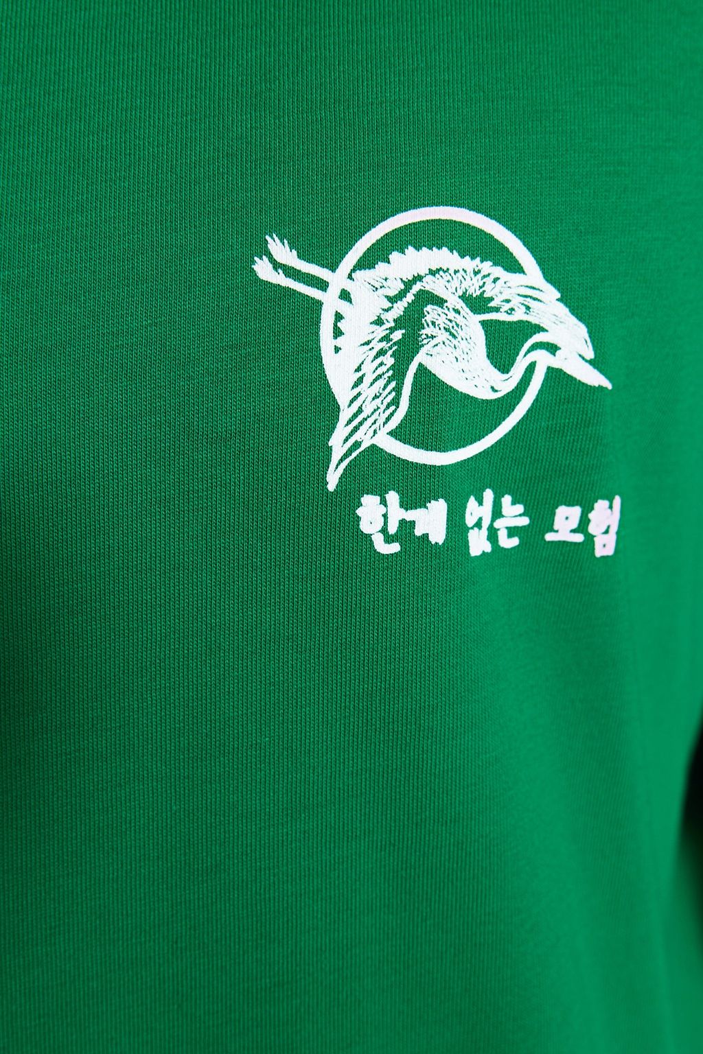 Yesil Oversize/Genis Kesim Uzak Dogu Bask?l? K?sa Kol %100 Pamuklu T-Shirt TMNSS23TS00170