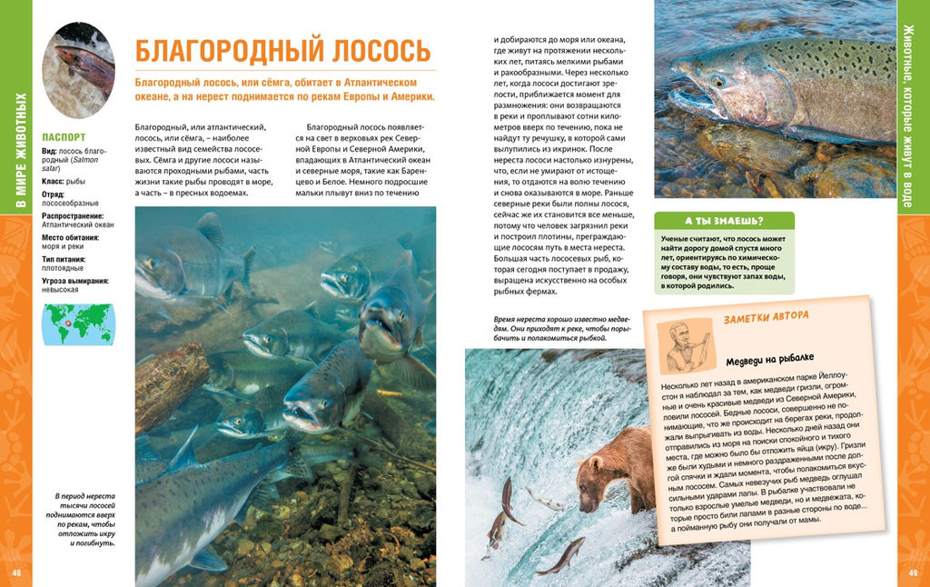 В мире животных (нов.обл.). Энциклопедия. Пратези Ф., Пратези И. - Махаон фото 12