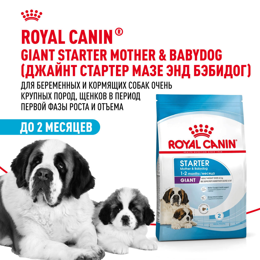 RC Для щенков гигантских пород до 2-х месяцев, беременных и кормящих сук (Giant Starter Mother & Babydog) 29961500R0/29961500R1