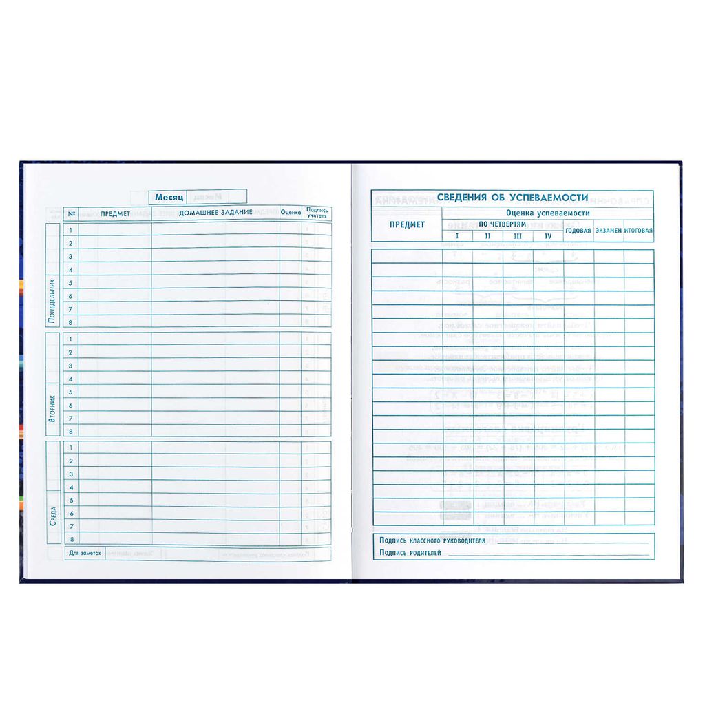 Дневник школьный 1-4 класс арт. 60067 СКЕЙТБОРДЫ - Феникс+ фото 10