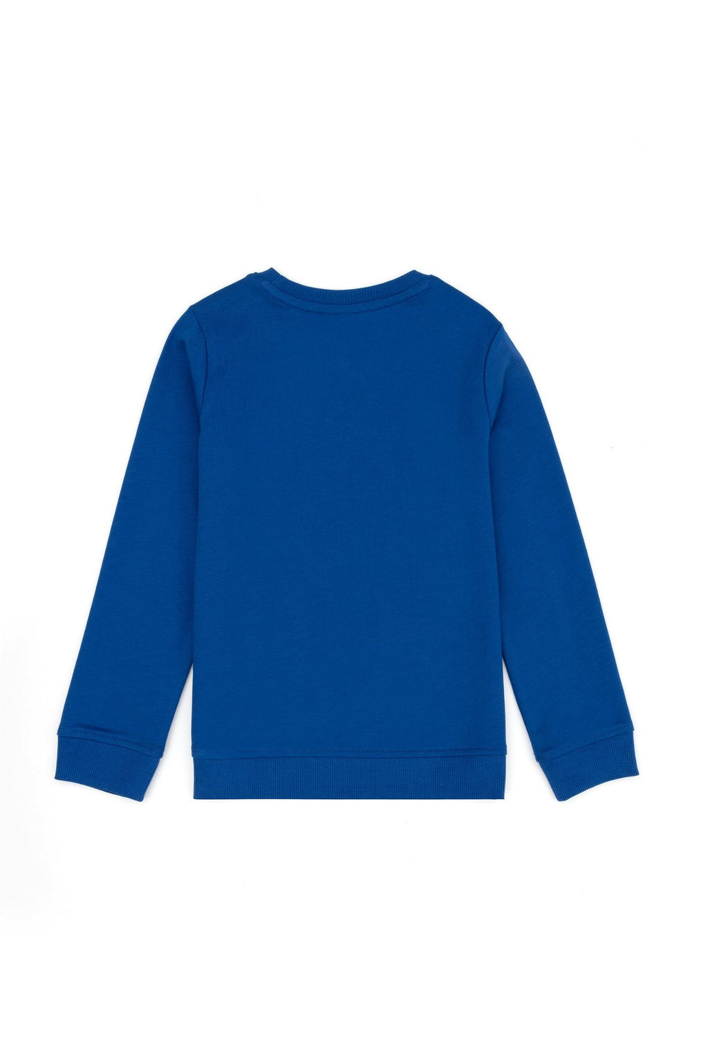 Толстовка для мальчика Saks Surphort Surprise Discount в корзине - U.s. polo assn фото 2