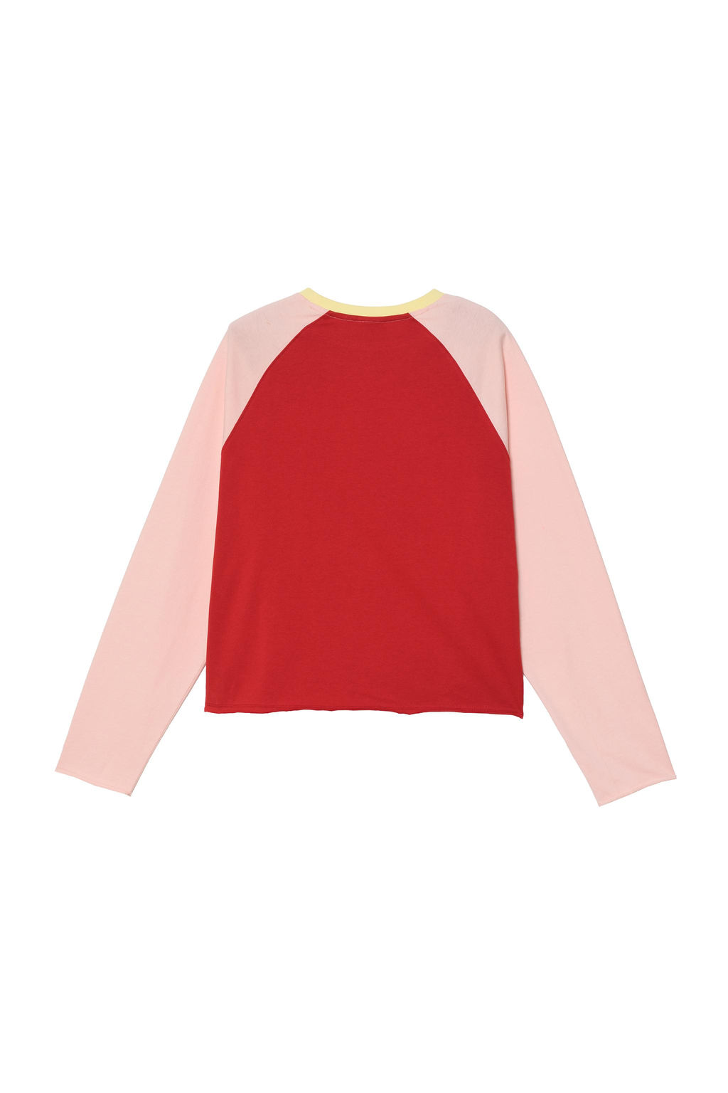 CAMISETA CROPPED FIT COLOR BLOCK / Rosas