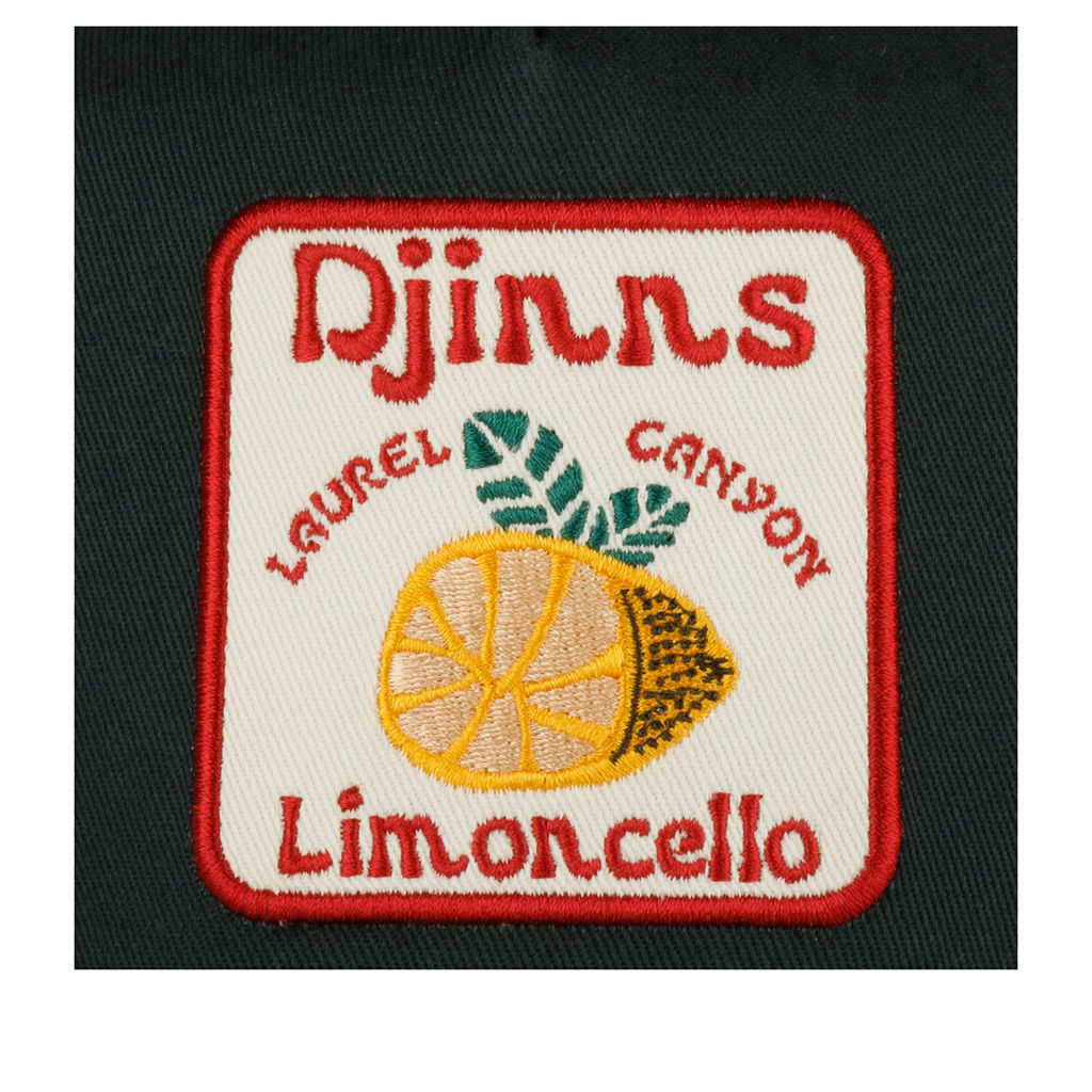 Бейсболка DJINNS арт. HFT Food Limoncello (оливковый / темно-зеленый)