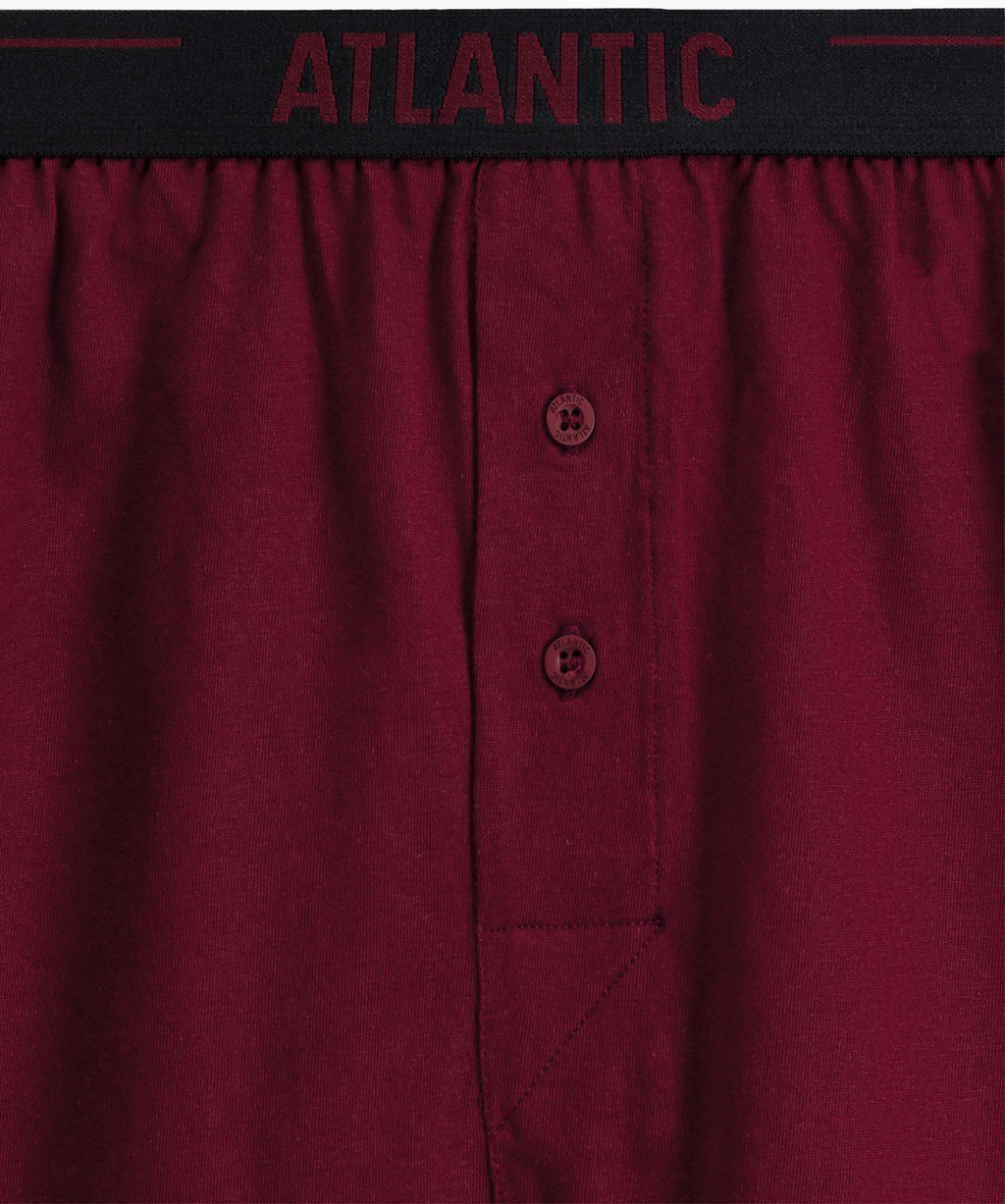 ATLANTIC 2MBX-025 Трусы боксеры Solid - набор (2 шт.) графитовый + каберне фото 4