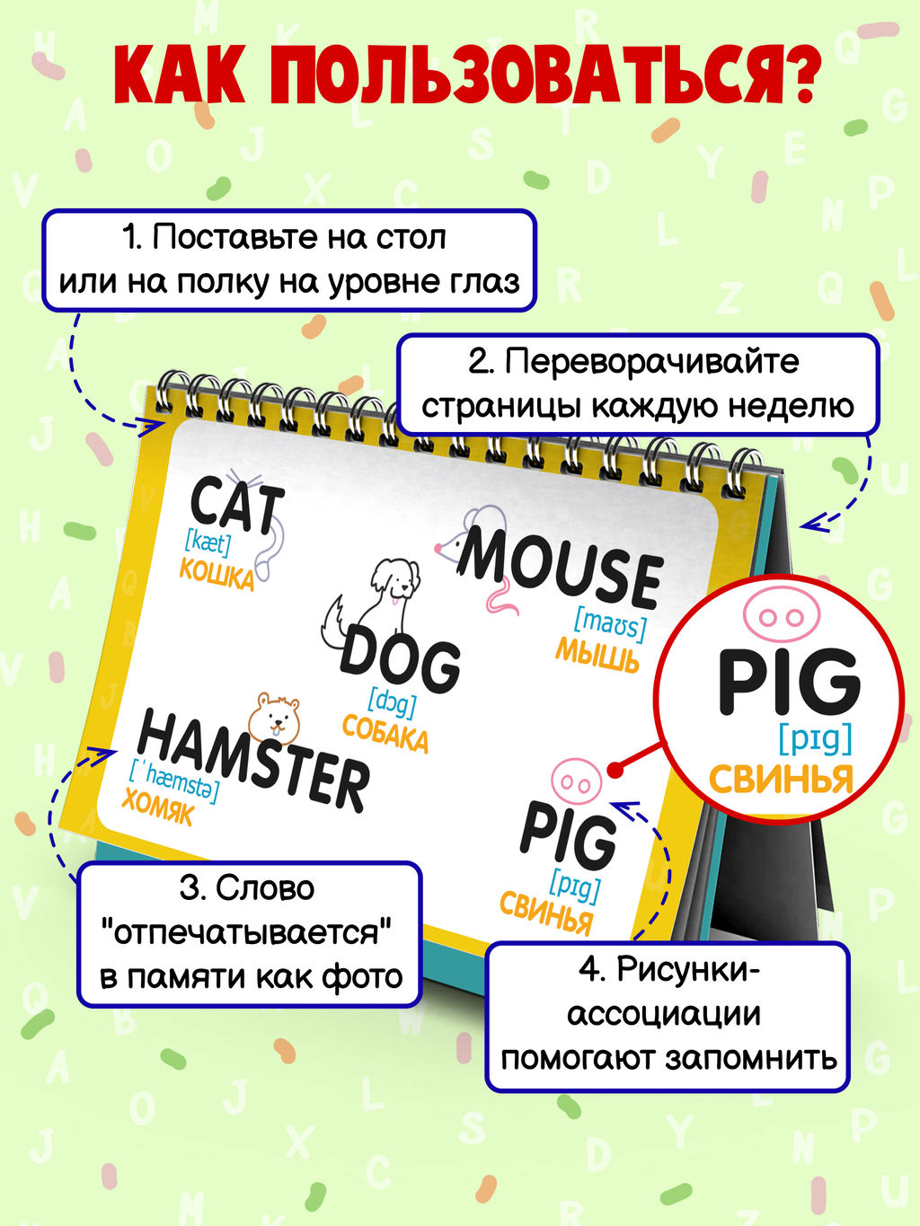 Визуальный словарь для детей. Серия Настольные запоминалки арт. 57906/ 5 АНГЛИЙСКИЙ ЯЗЫК - Феникс+ фото 3