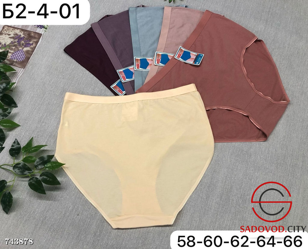 Трусики слипы женские, 5 шт