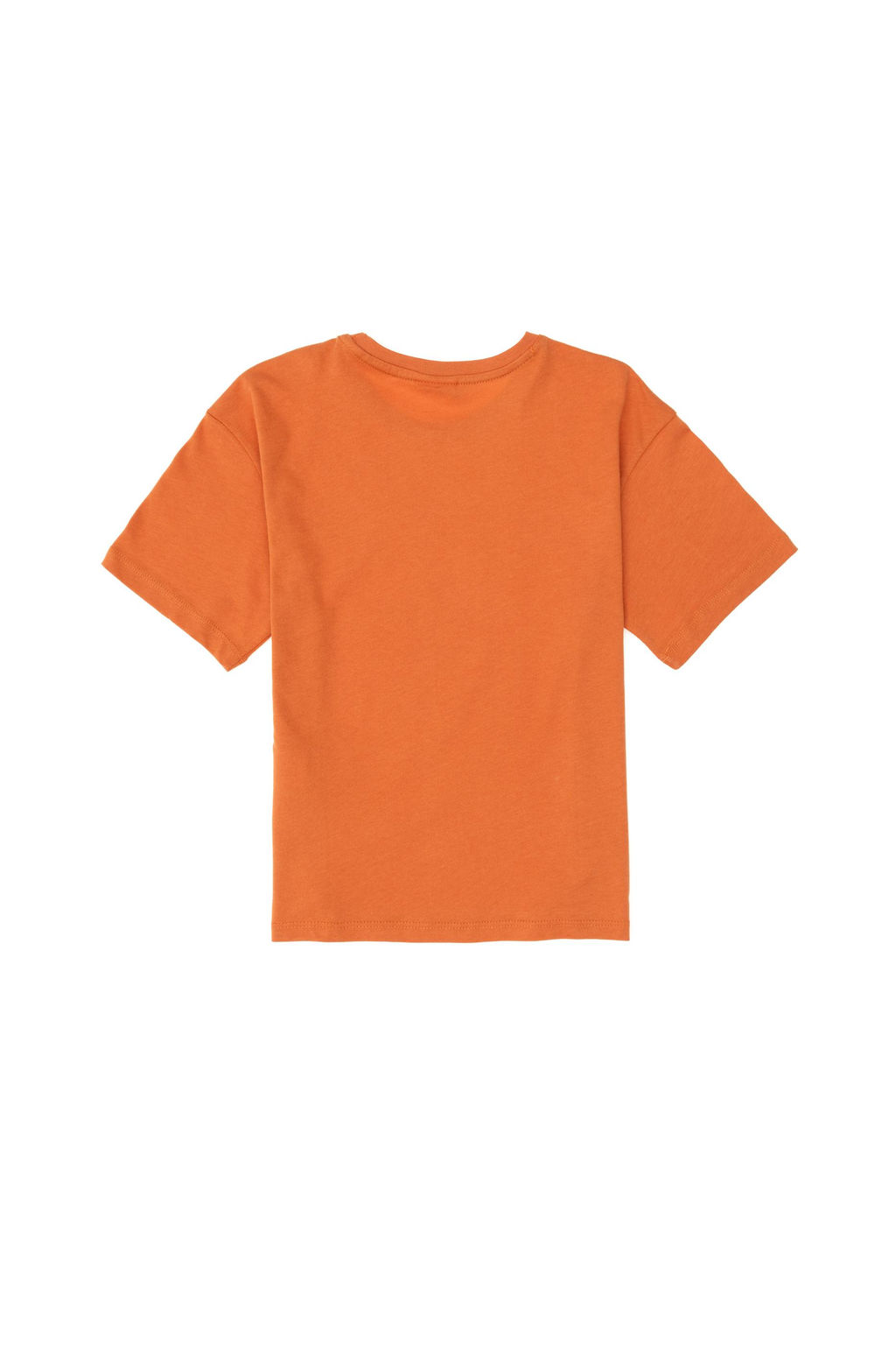 Базовая футболка с корицей для мальчиков Неожиданная скидка в корзине - U.s. polo assn фото 2