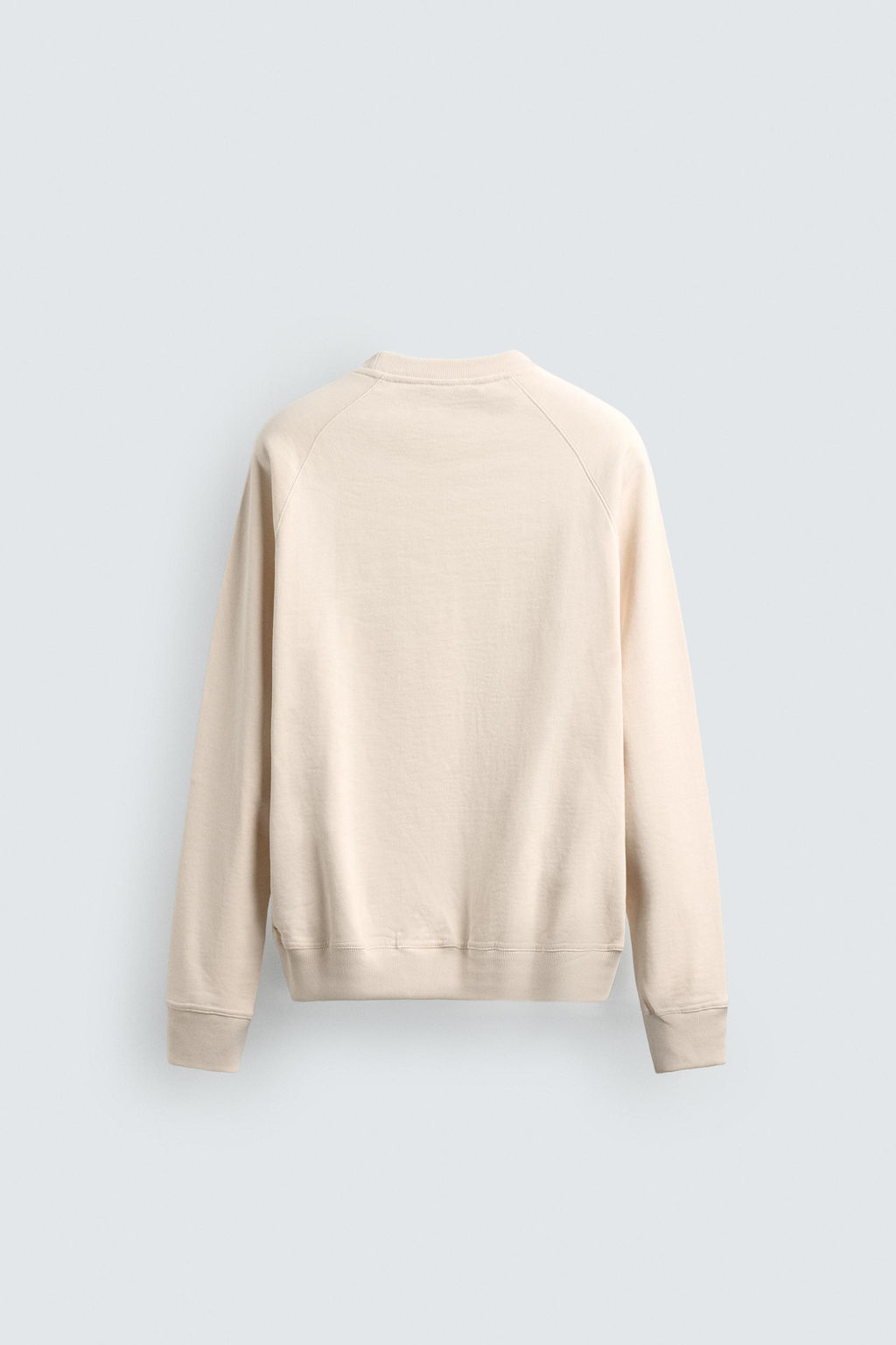 SUDADERA CREWNECK LAVADA / Crudo - Zara фото 7