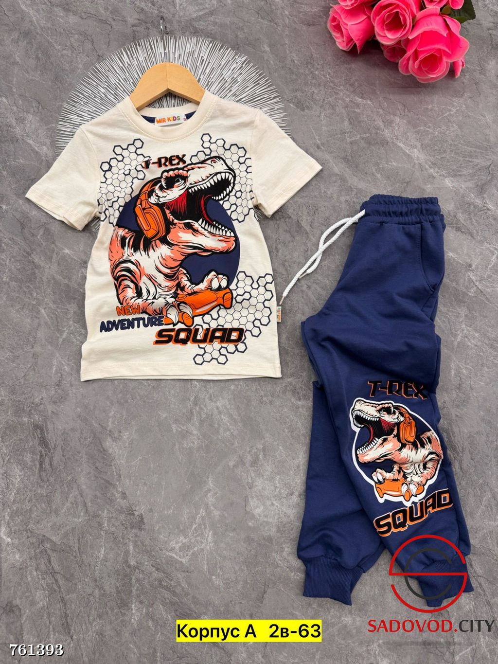 Костюм спортивный двойка