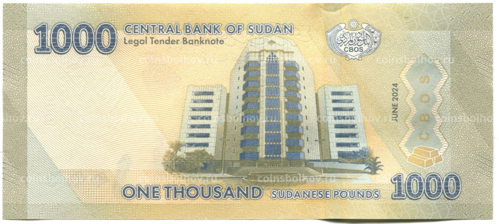 Банкнота 1000 фунтов 2024 года Судан