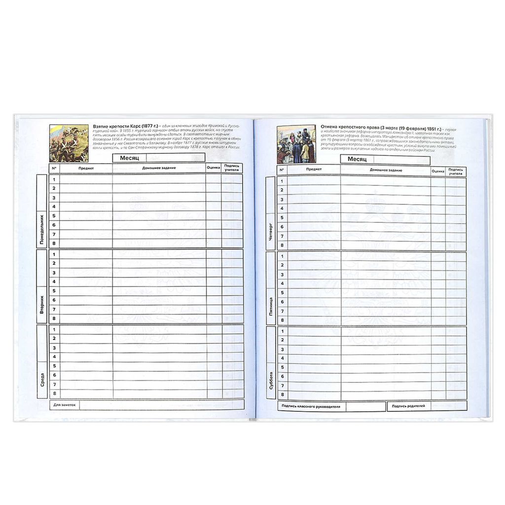Дневник российского школьника арт. 60148 ТРИАДА НА БЕЛОМ - Феникс+ фото 11