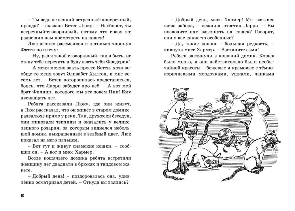 Тайна пропавшей кошки. Блайтон Э. - Махаон фото 4