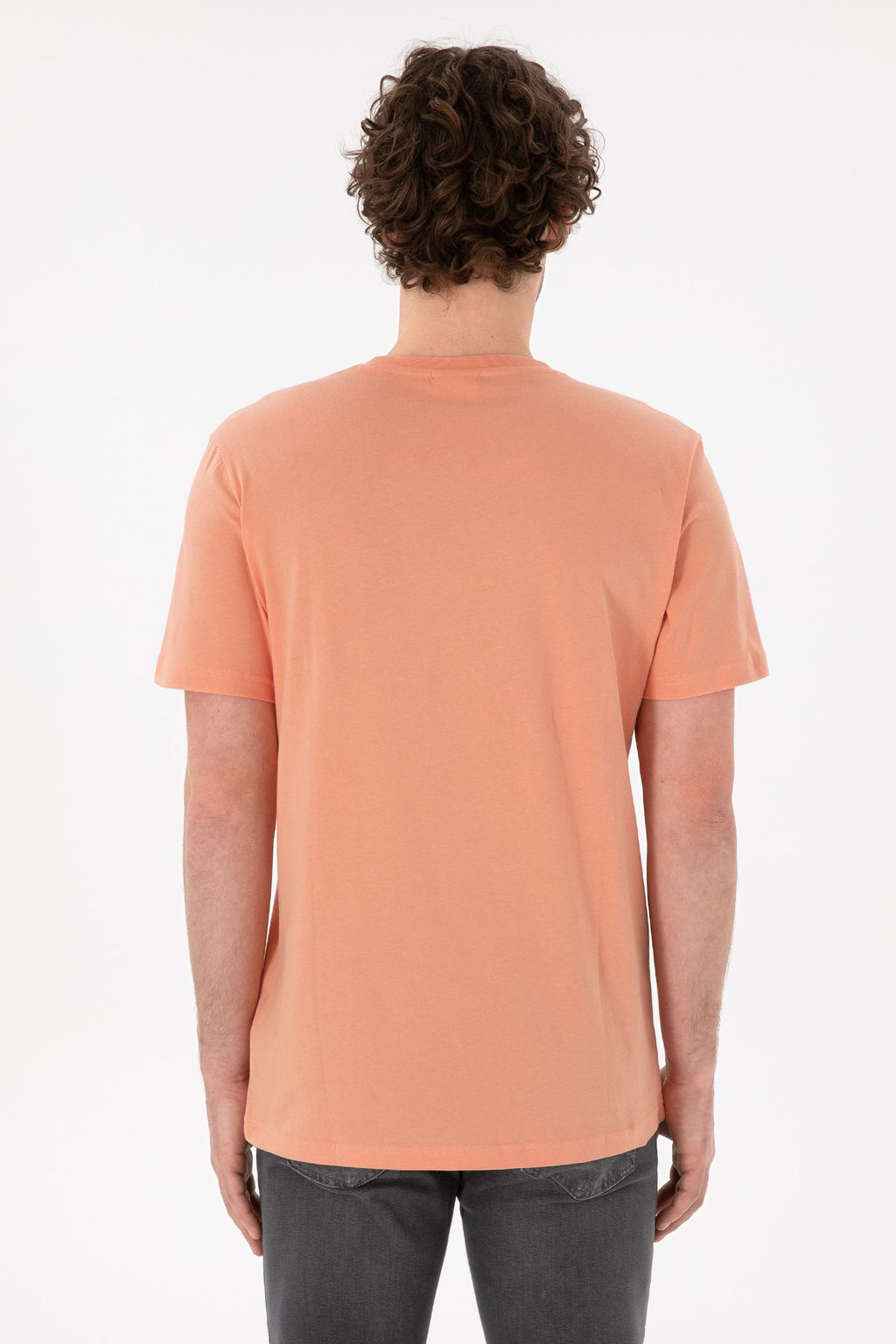 Erkek Regular Fit Bisiklet Yaka Somon Basic Ti__rt Sepette S_rpriz _ndirim - U.s. polo assn фото 6