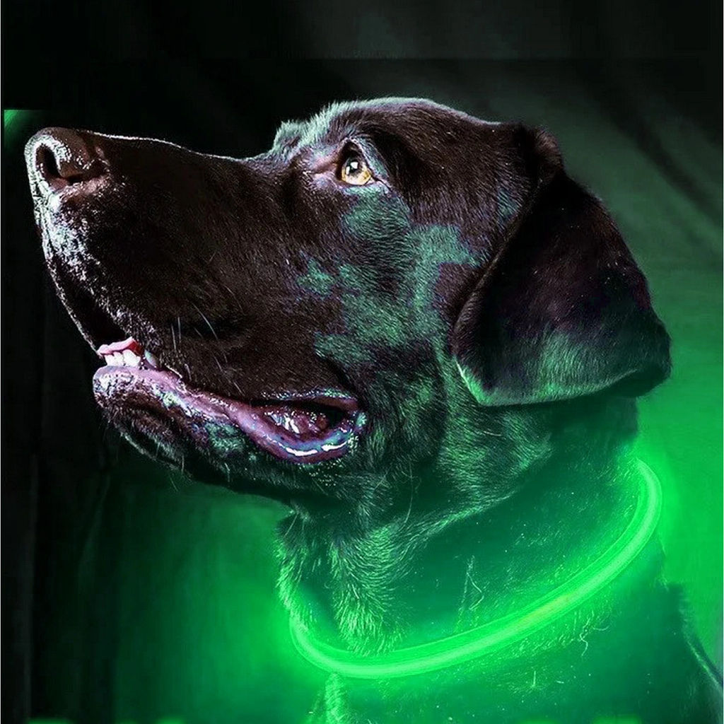 Цена за 2 шт. Ошейник неоновый для собак малых пород "Защита Бро", цвет зеленый, зарядка от USB, шнур в комплекте, размер S - d 35см (пакет с подвесом)