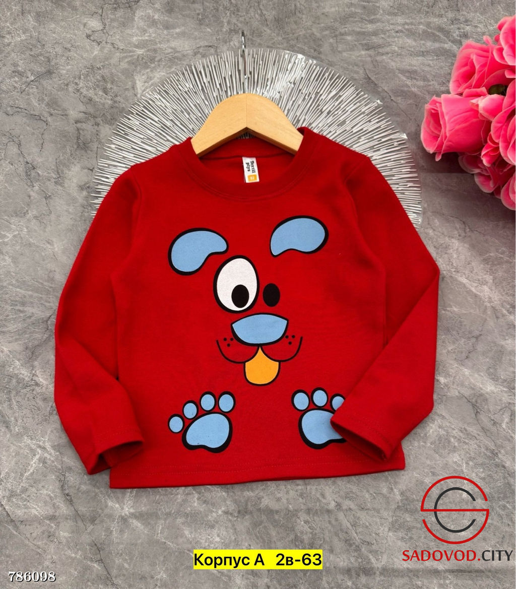 Кофта для мальчика с рисунком