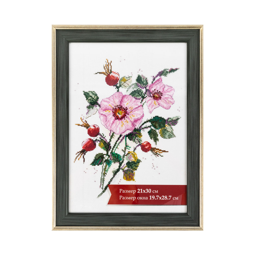 Рамка Gamma ПРК-23 21 х 30 см пластик. с оргстеклом зеленый