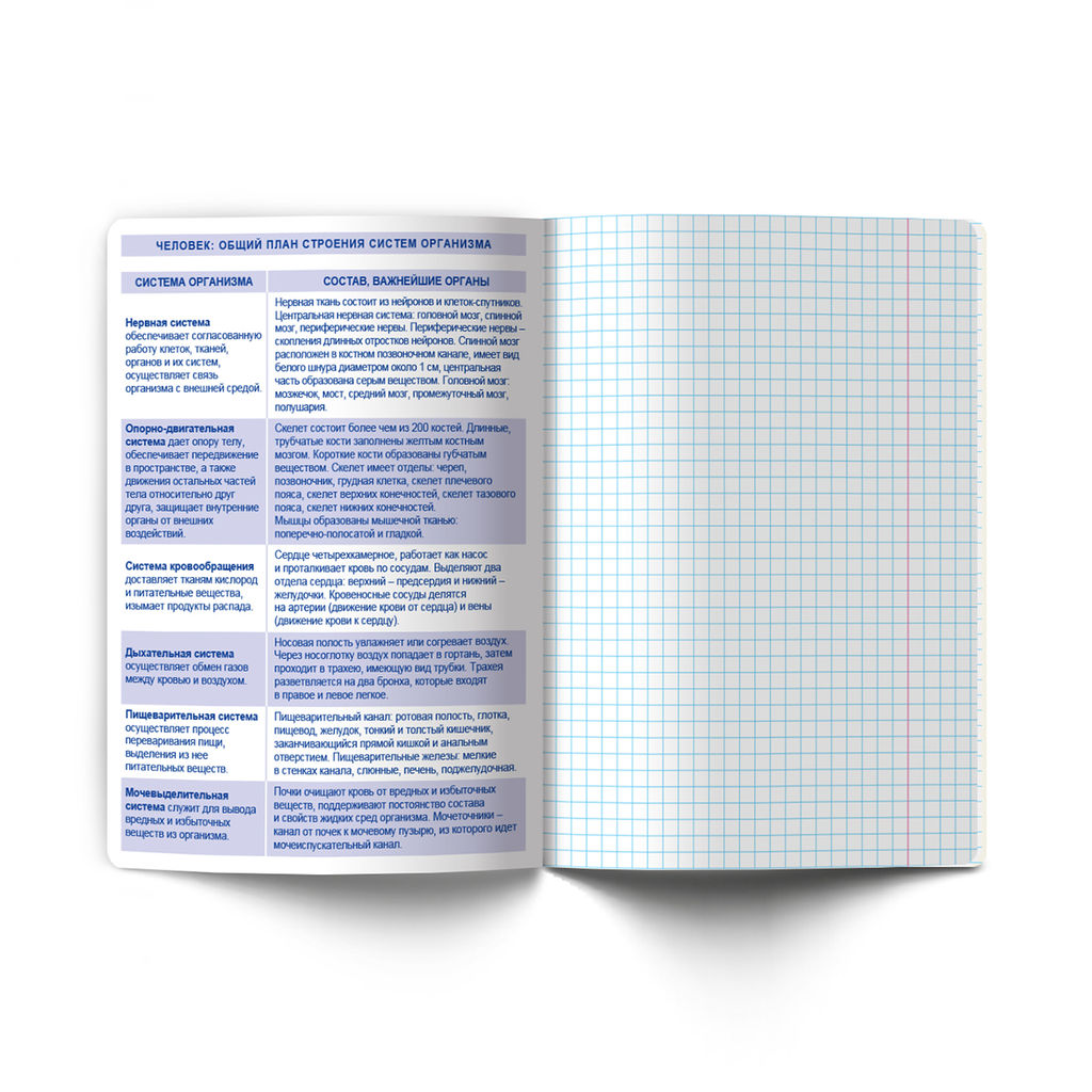 Светоч Т139 Тетрадь со справочным материалом Безупречный стиль, A5 48 л. на скобе 60 г/кв.м , белизна 90 % 10 шт. , клетка 01286 Безупречный стиль Биология  фото 4