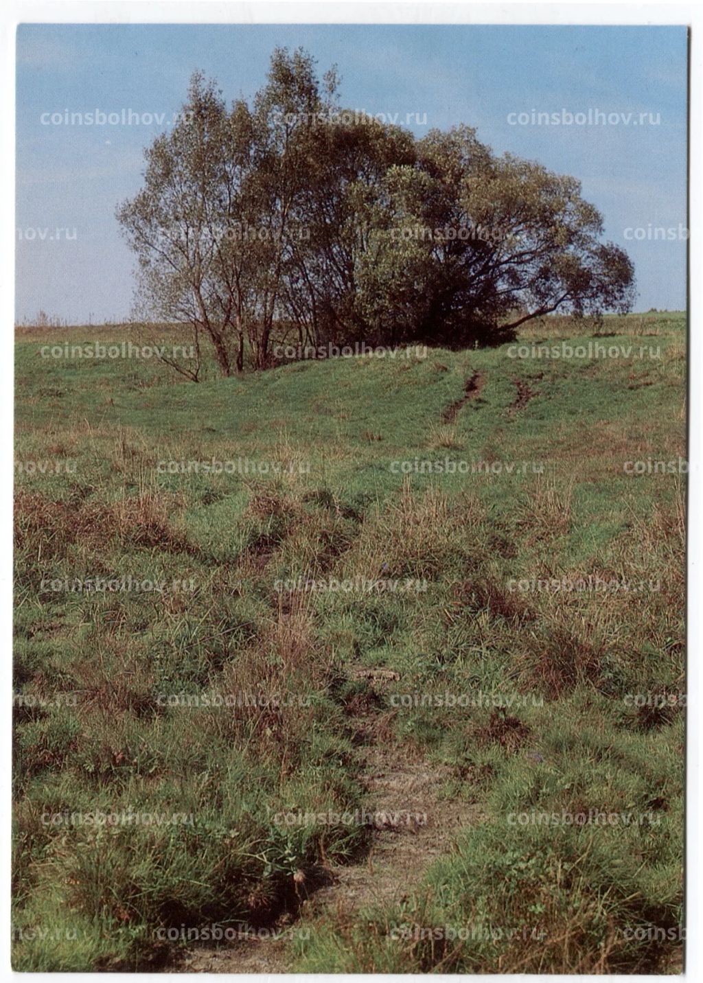 Открытка Ракиты над Родником Насти Прокудиной