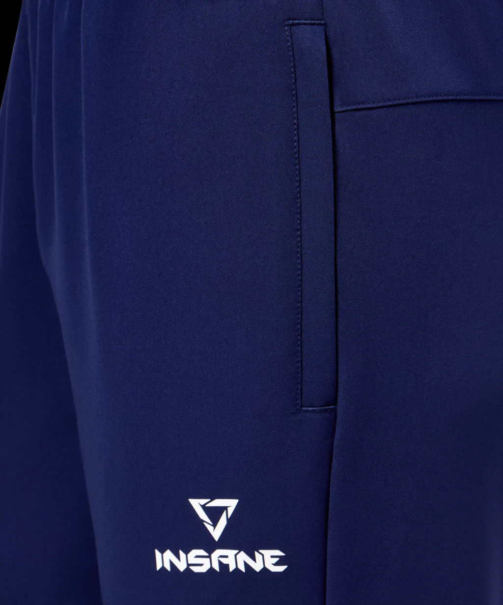 Брюки парадные INSANE RBF IN25-OS100, синий