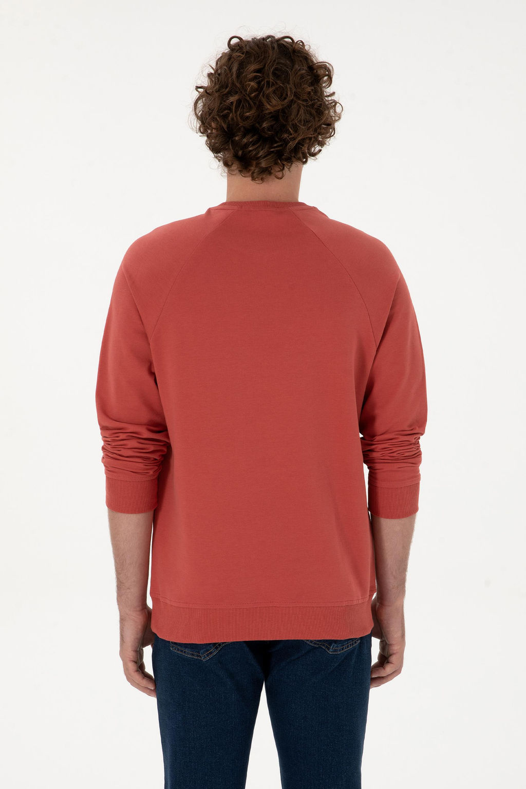 Erkek G_l Kurusu Basic Sweatshirt Sepette S_rpriz _ndirim - U.s. polo assn фото 5
