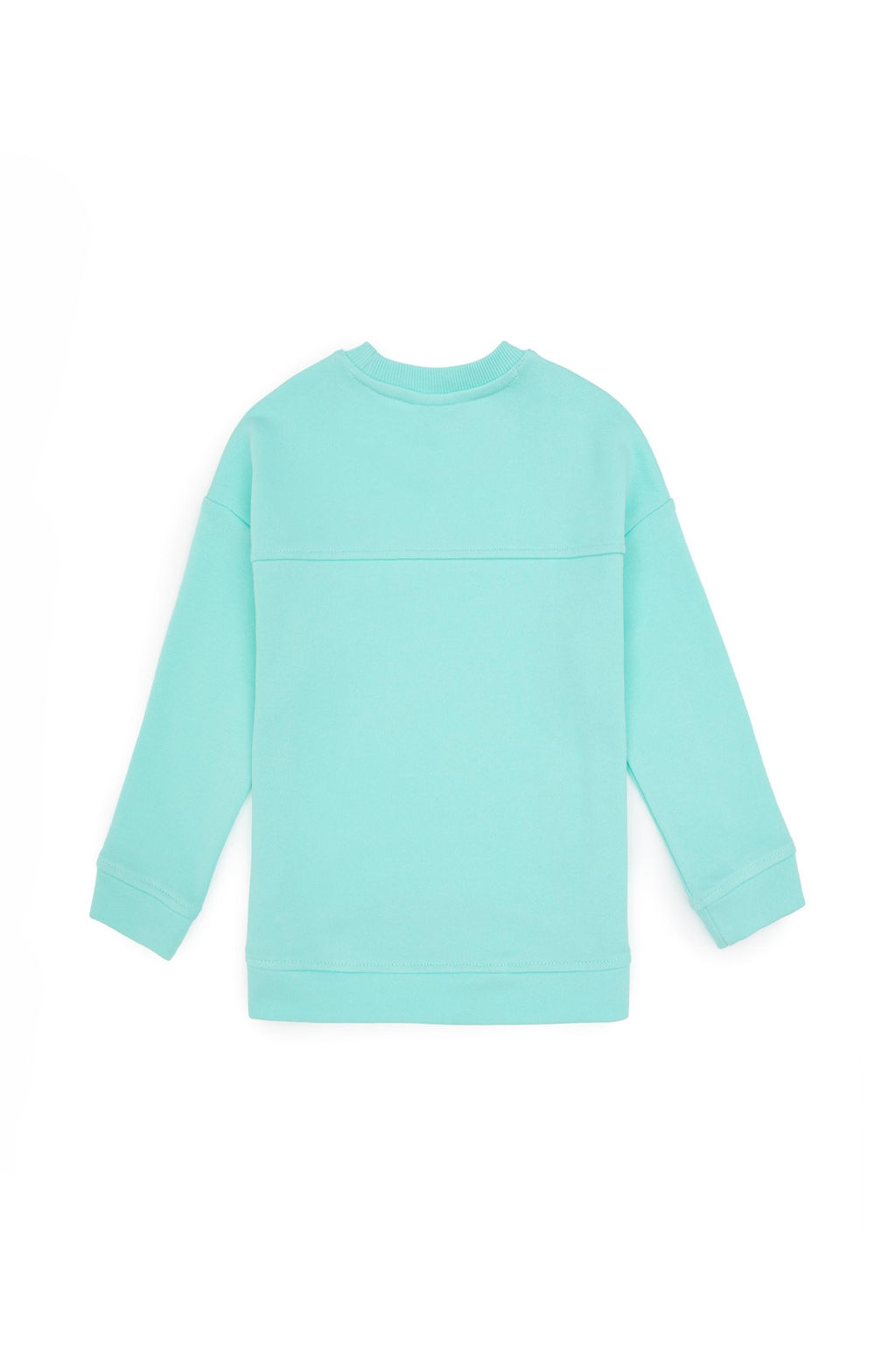 K_z _ocuk Ye_il Bisiklet Yaka Sweatshirt Sepette S_rpriz _ndirim - U.s. polo assn фото 3