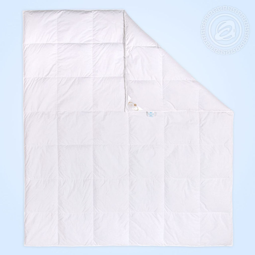 Одеяло Шарм 172*205/1 шт. Гусиный пух - Арт элегант фото 4