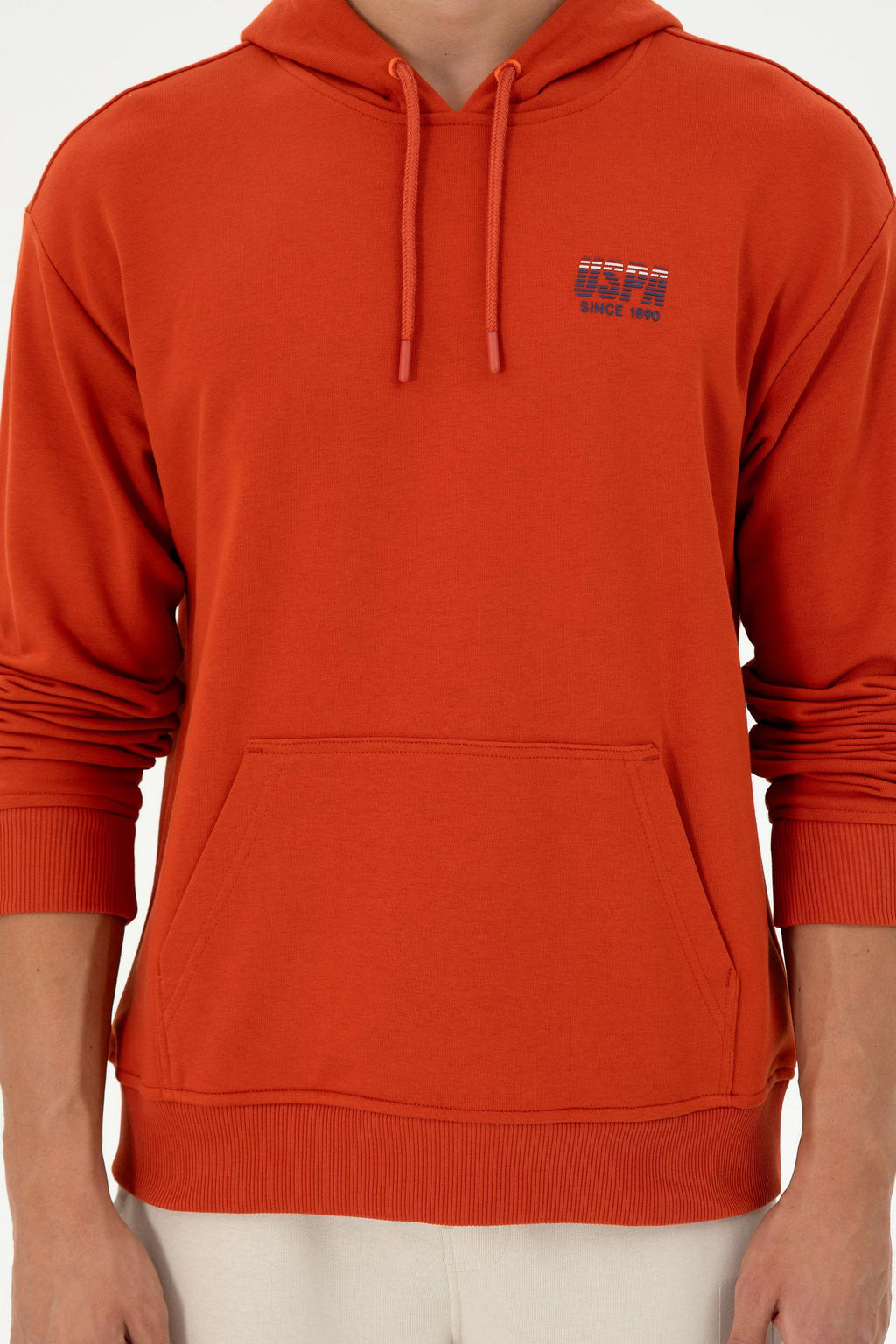 Мужской свитшот с плиткой Неожиданная скидка в корзине - U.s. polo assn фото 6