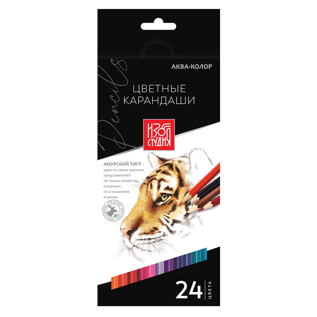 Аква-колор Изостудия IZO-CP24 Набор цветных карандашей заточенный 4 х 24 цв