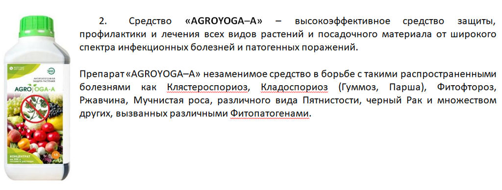 AGROYOGA - A. Антипатогенная защита растений 1 л. - Somrast Company фото 2