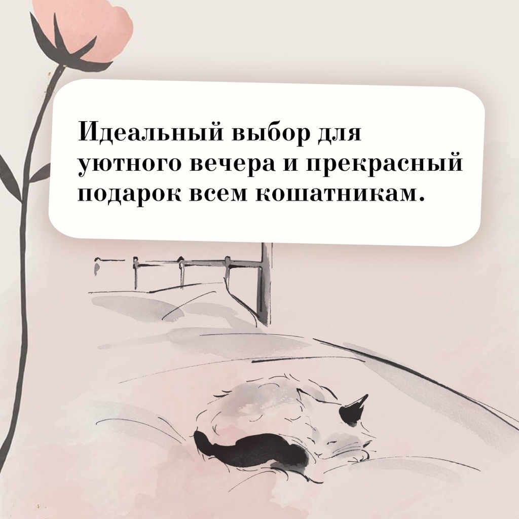 Хроники странствующего кота. Арикава Х. - Азбука фото 5