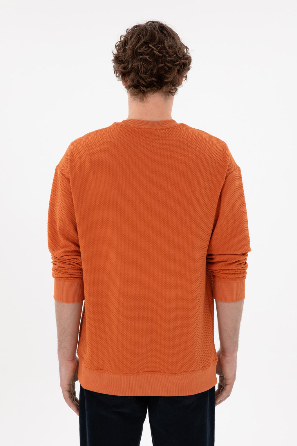 Мужской свитшот цвета корицы Неожиданная скидка в корзине - U.s. polo assn фото 5