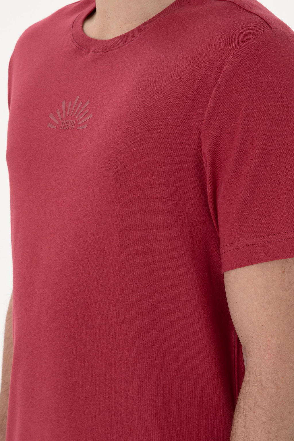 Erkek Regular Fit Bisiklet Yaka Vi_ne Ti__rt Sepette S_rpriz _ndirim - U.s. polo assn фото 7