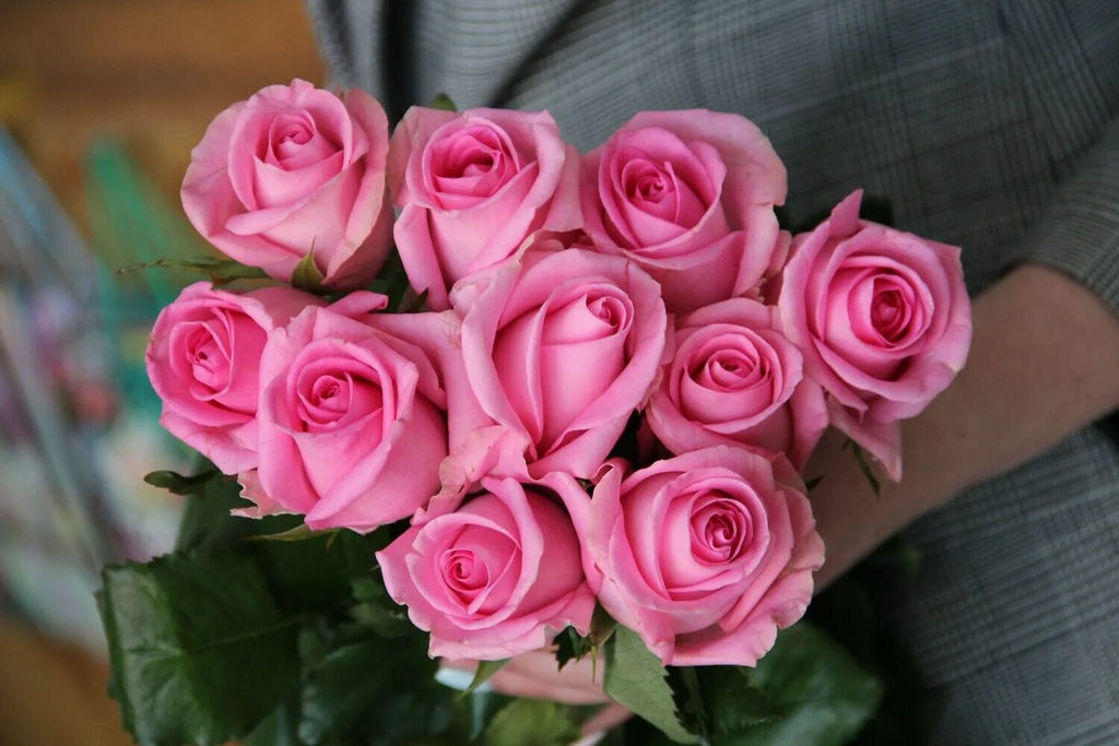 Роза Ревиваль (чайно-гибридная) - 1000корней фото 2