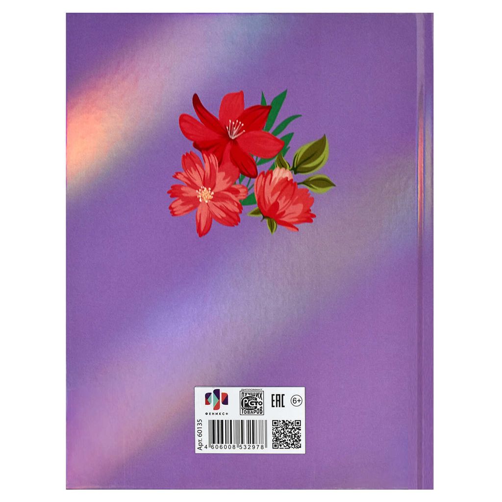 Дневник школьный 5-11 класс арт. 60135 КЕДЫ - Феникс+ фото 3