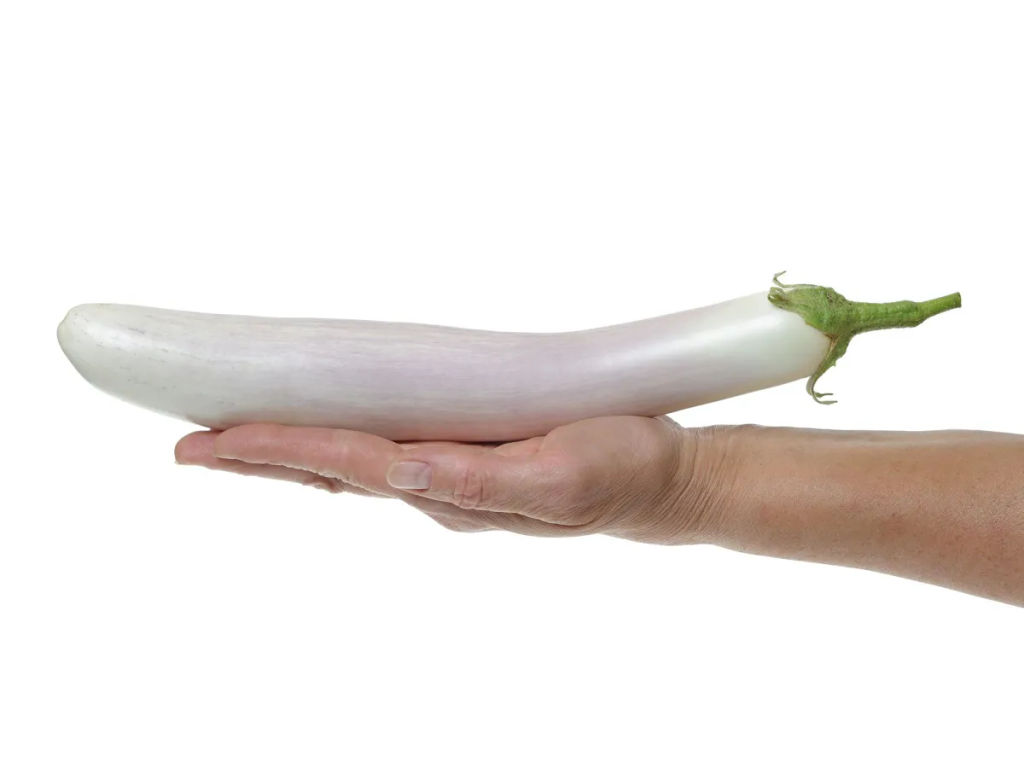 Баклажан Виталик - Партнер фото 3