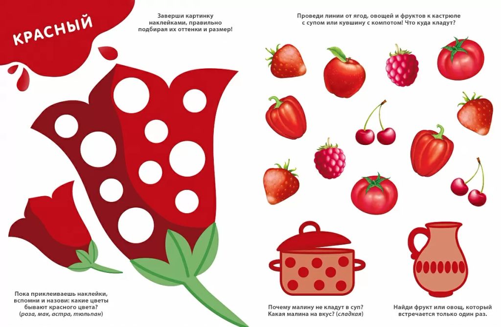 Изучаем цвета, слова, цифры с наклейками и заданиями - Робинс фото 2