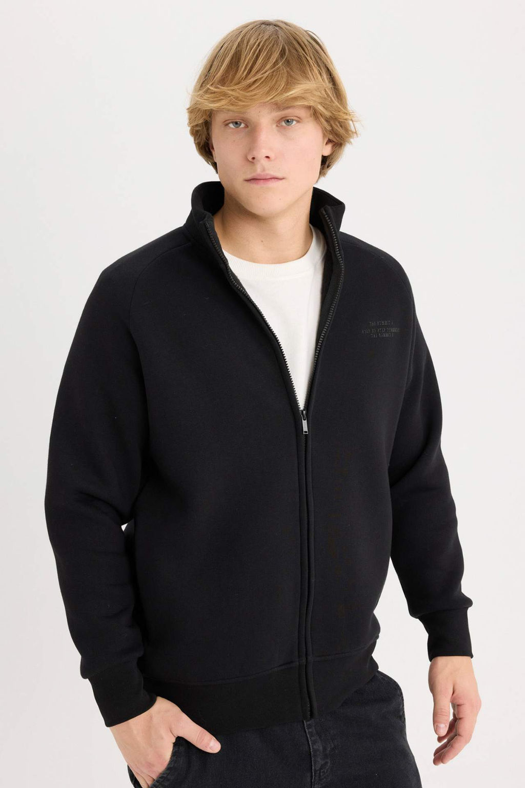 Boxy Fit Dik Yaka Bask?l? Ici Yumusak Tuylu Fermuarl? Sweatshirt - Defacto фото 2