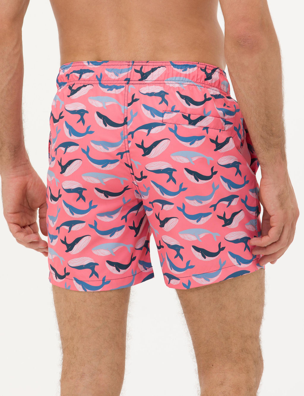 Pembe Deniz _ortu