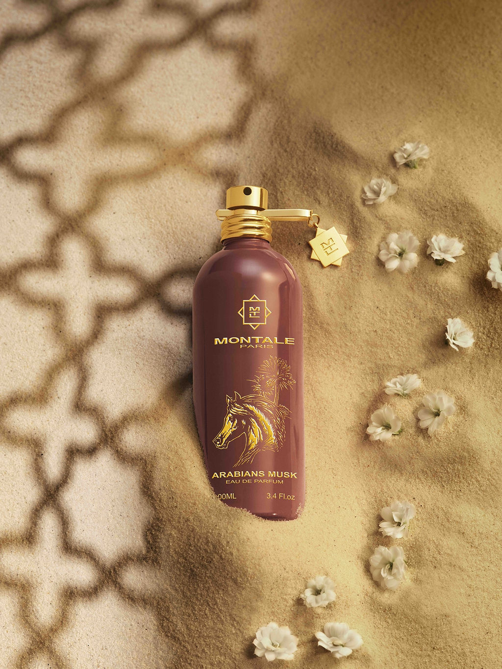 MONTALE Arabians Musk/Мускус Арабии u EDP 100 ml M  фото 2