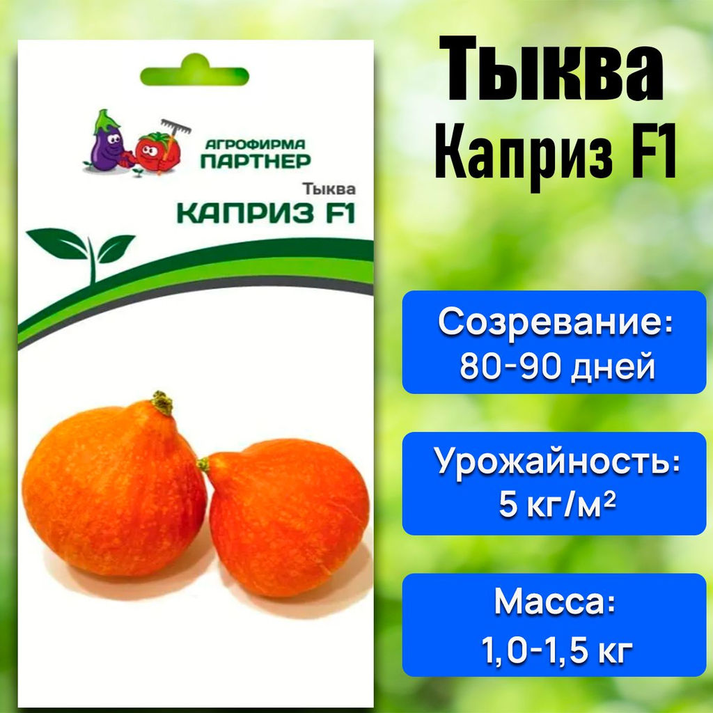 Тыква Каприз - Партнер фото 2